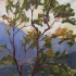Carstons Tree