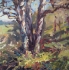 The Tree