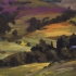 Vetch IV